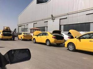 優(yōu)秀品質(zhì)獲得認(rèn)可 眾泰汽車進(jìn)軍多國(guó)市場(chǎng)